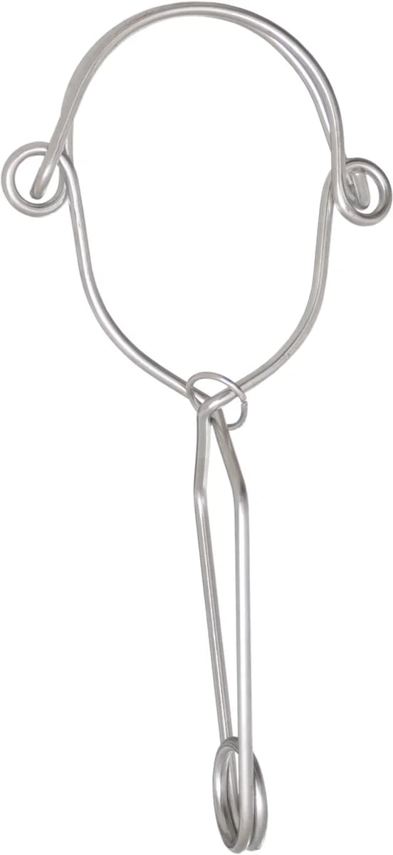 RVS ankerhaak voor steigerbuizen - productafbeelding