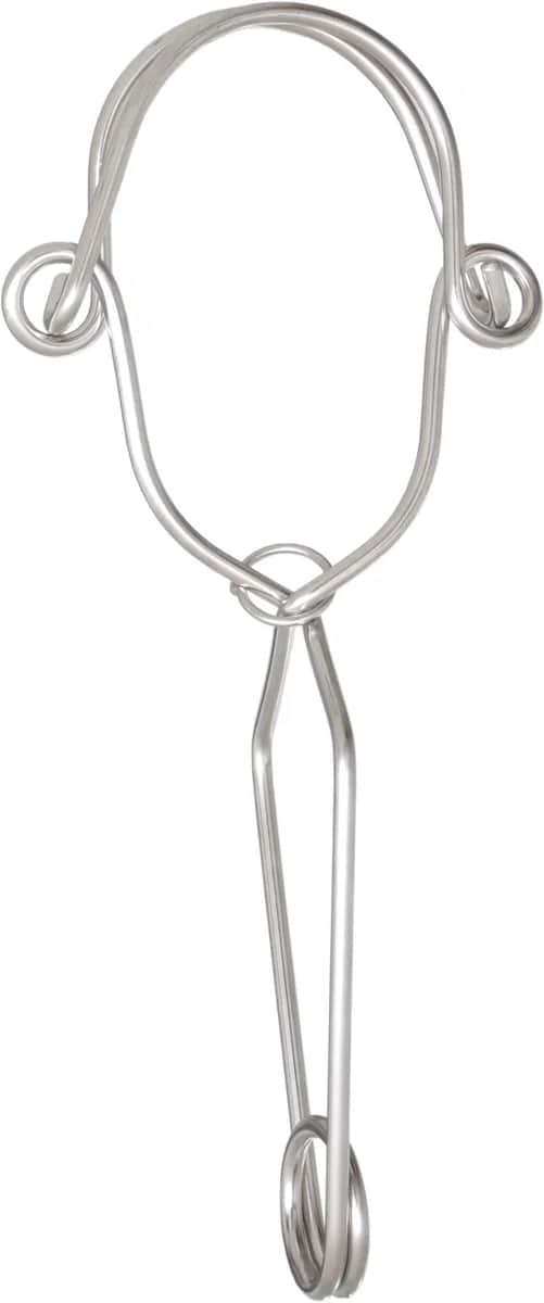 RVS ankerhaak met dubbele werking