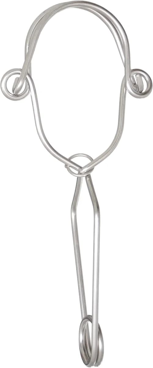 RVS ankerhaak met dubbele werking - productafbeelding