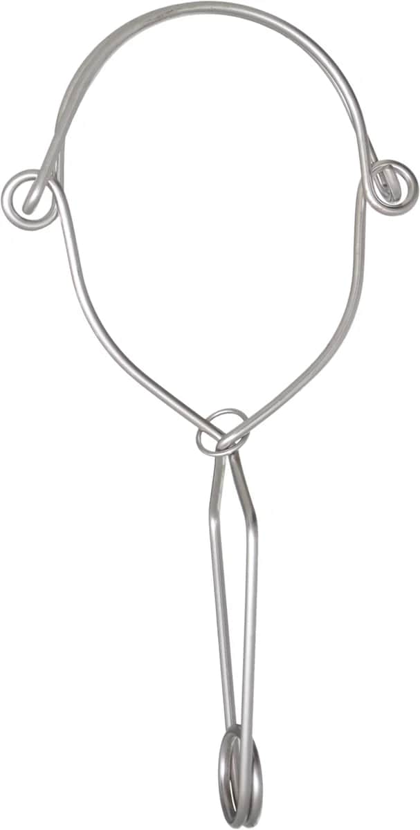 RVS ankerhaak met dubbele werking