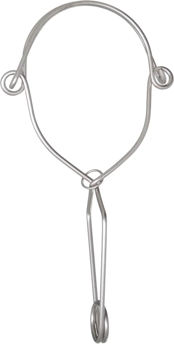 RVS ankerhaak met dubbele werking - productafbeelding